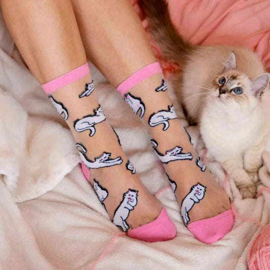 Chaussettes transparentes chat blanc